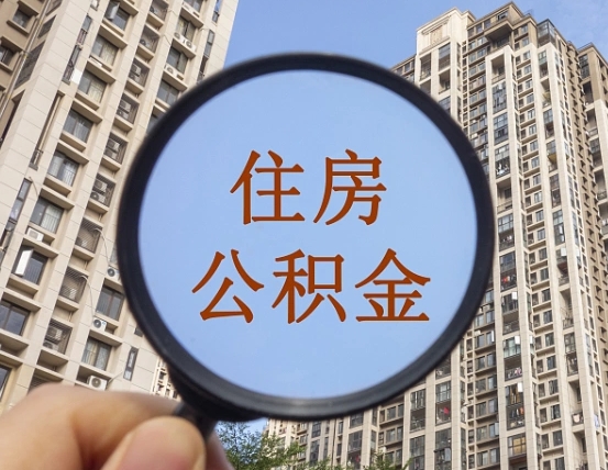 沙洋公积金离职证明（沙洋公积金离职证明范本）